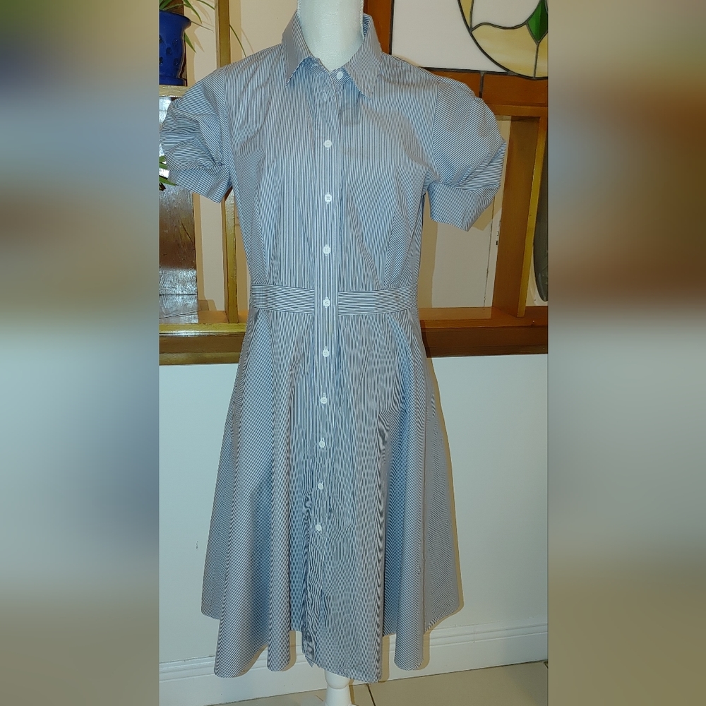 Donna Karan Striped Shirt dress.